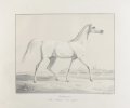 Hasfoura / Gris argenté