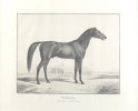 Mammeluck / Noir de jais